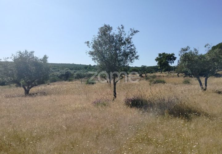 Terra a Alter do Chao, Portalegre, Alter do Chao - € 14.900 | Ref: ZMPT569958 - foto 1
