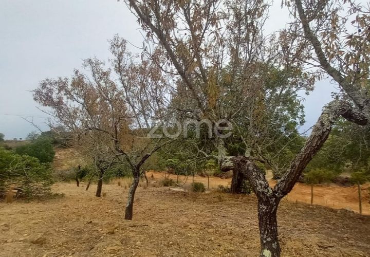 Villa i Estoi, Faro, Estoi - € 197.000 | Ref: ZMPT562407 - foto 1