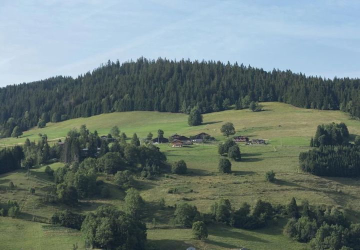 Landejendom i Megève, Haute-Savoie, Megève - € 5.750.000 | Ref: COEBS 2025 - foto 1