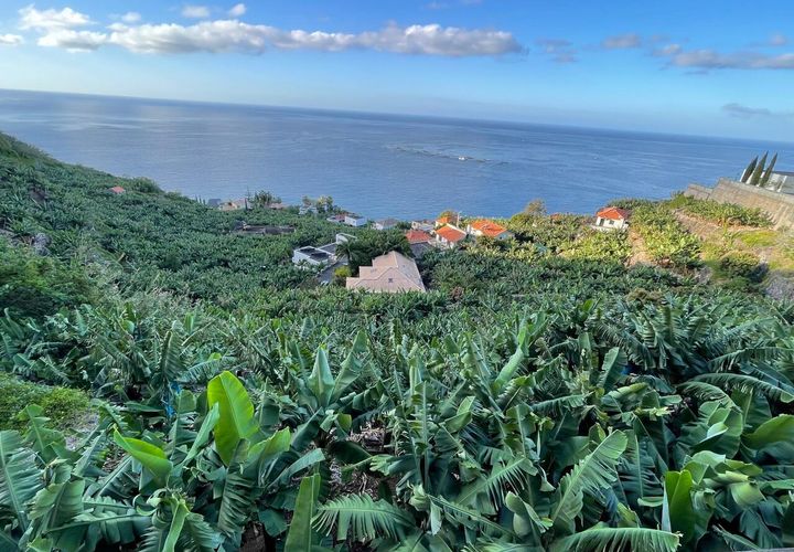 Helårsgrund i Arco da Calheta, Madeira, Arco da Calheta - € 425.000 | Ref: SF-SAFTI:006471 - foto 1