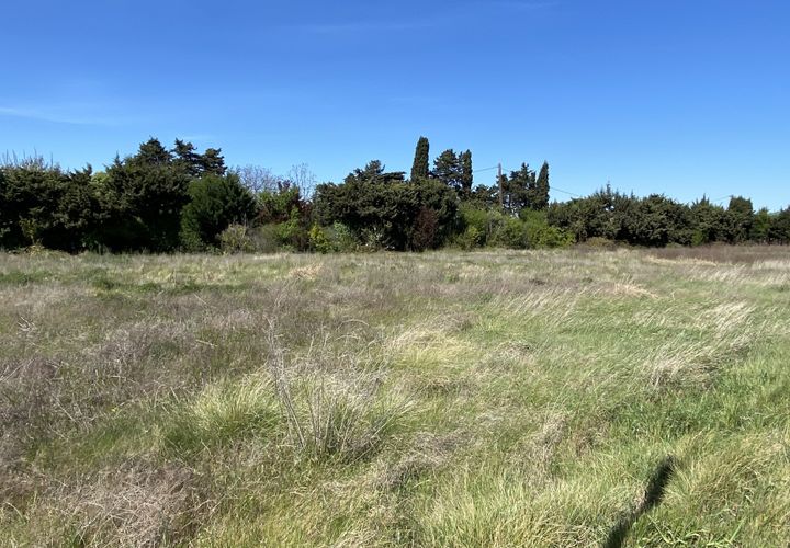 Tomt i Cavaillon, Vaucluse, Cavaillon - € 130 000 | Ref: CAVAILLON_LOT_3 - foto 1