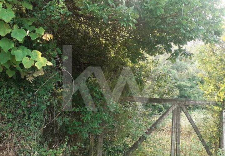 Helårsgrund i Sever do Vouga, Aveiro, Sever do Vouga - € 90.000 | Ref: 2198-2725 - foto 1