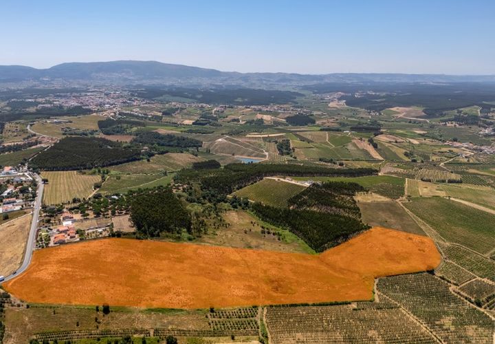 Helårsgrund i Carvalhal, Leiria, Carvalhal - € 620.000 | Ref: BL1092 - foto 1