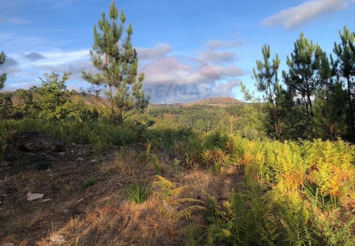 Helårsgrund i Amares, Braga, Amares - € 36.500 | Ref: 126371012-191 - foto 1