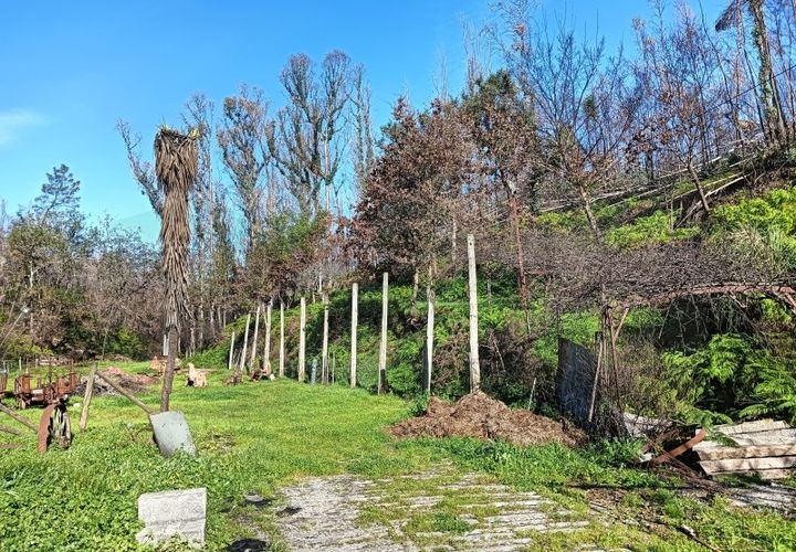 Terra a Angeja, Aveiro, Angeja - € 75.000 | Ref: AV25/011 - foto 1
