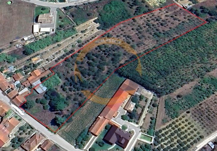 Helårsgrund i Anadia, Aveiro, Anadia - € 89.000 | Ref: T/0838 - foto 1