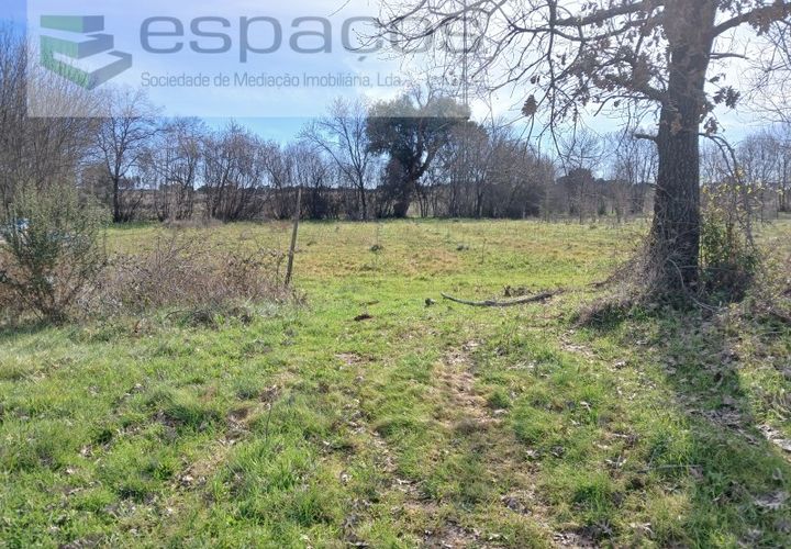 Terra a Fundao, Castelo Branco, Fundao - € 7.500 | Ref: 4053 RR-EM - foto 1