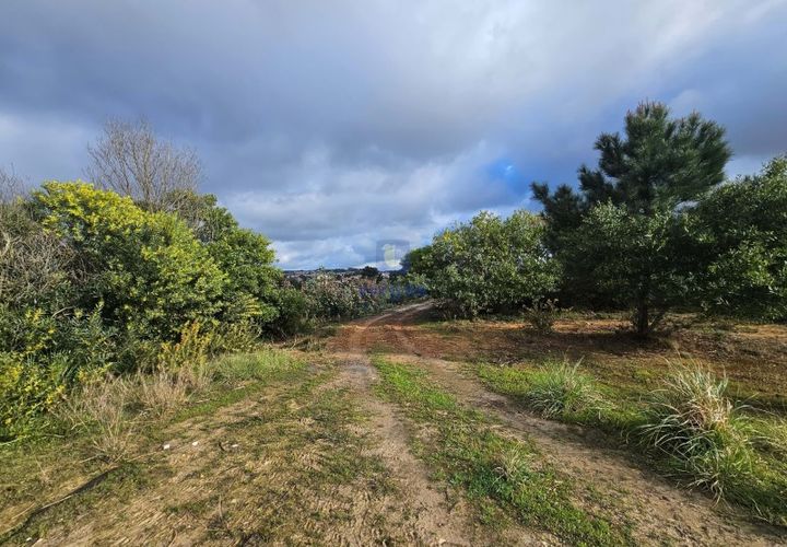 Helårsgrund i Santo Onofre e Serra do Bouro, Leiria, Santo Onofre e Serra do Bouro - € 275.940 | Ref: CAL-216721 - foto 1