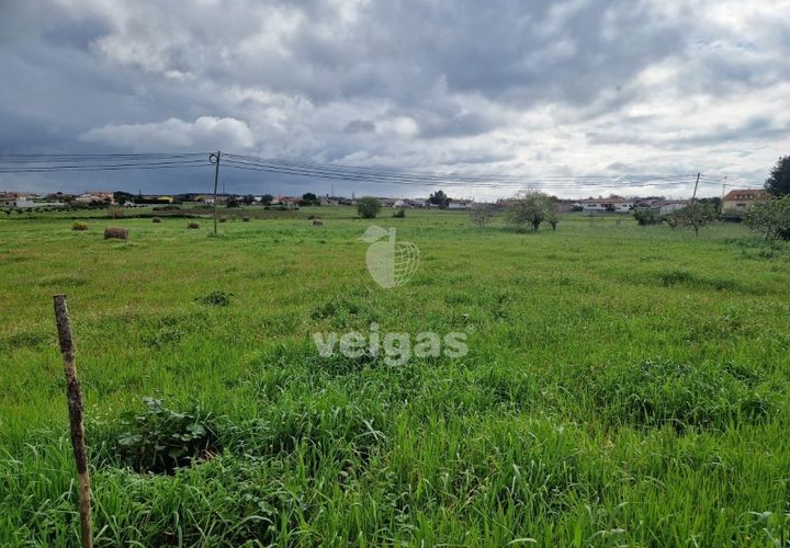 Tomt i Monte Real, Leiria, Monte Real - € 145 000 | Ref: LIZ-216115 - foto 1