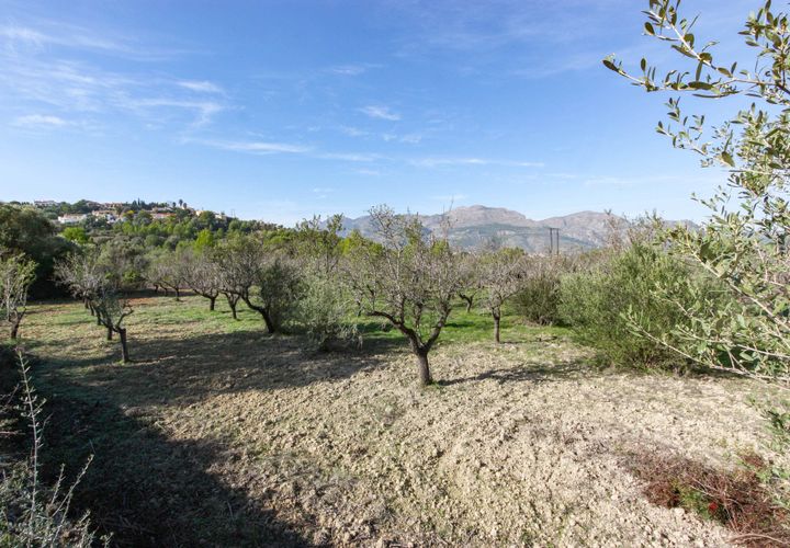 Helårsgrund i Orba, Alicante, Orba - € 145.000 | Ref: xpg00927 - foto 1