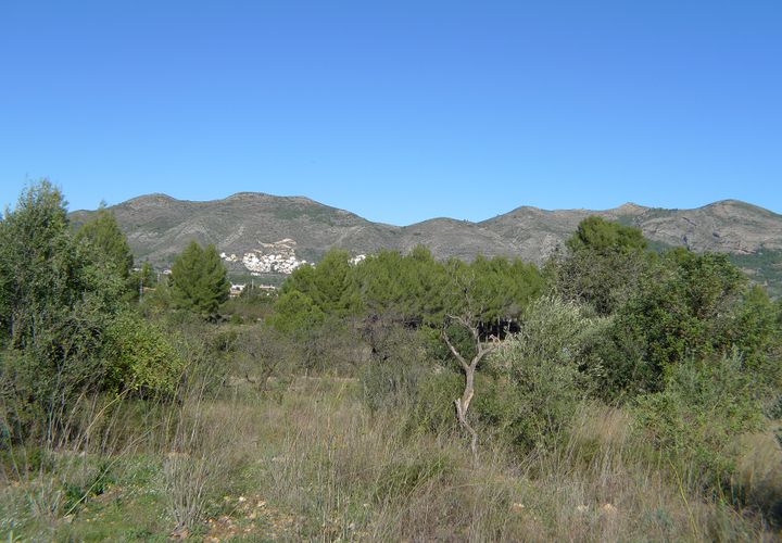Helårsgrund i Jalon, Alicante, Jalon - € 160.000 | Ref: xpg001045 - foto 1