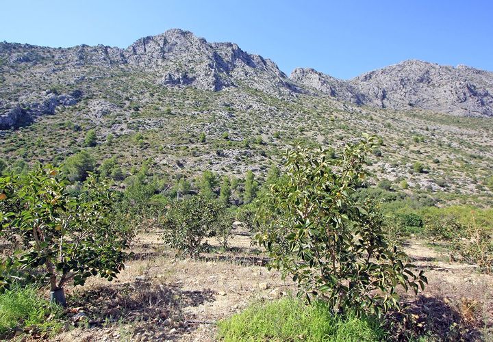 Helårsgrund i Orba, Alicante, Orba - € 165.000 | Ref: xpg001372 - foto 1