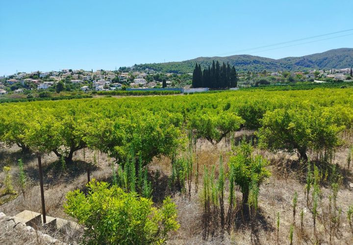 Helårsgrund i Orba, Alicante, Orba - € 100.000 | Ref: xpg001373 - foto 1