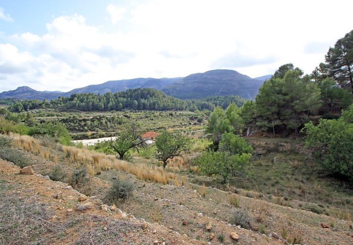 Helårsgrund i Jalon, Alicante, Jalon - € 107.000 | Ref: xpg00953 - foto 1