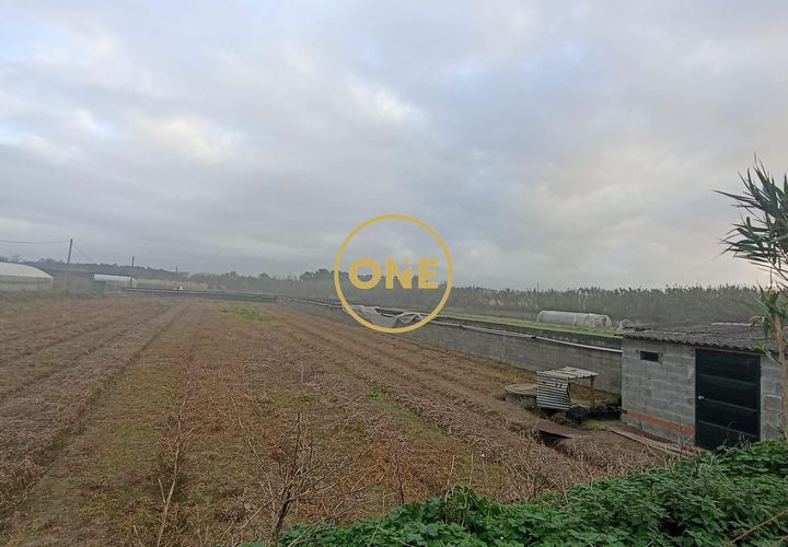 Helårsgrund i Esposende, Braga, Esposende - € 50.000 | Ref: ONE0021257-177 - foto 1