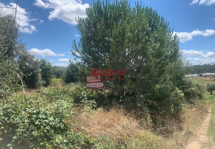 Helårsgrund i Nelas, Viseu, Nelas - € 19.000 | Ref: 189242256 - foto 1
