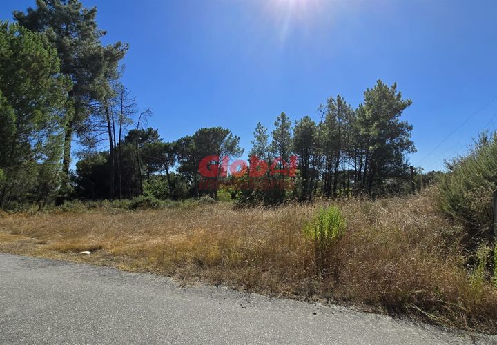 Helårsgrund i Viseu, Viseu, Viseu - € 15.000 | Ref: 189242281 - foto 1