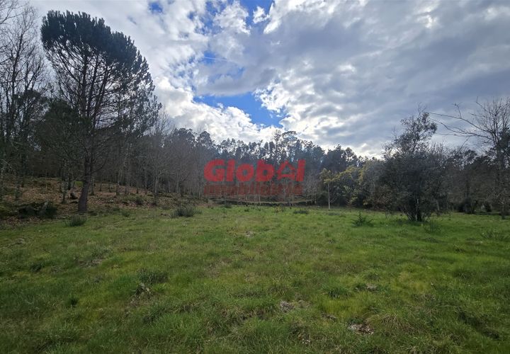 Helårsgrund i Viseu, Viseu, Viseu - € 67.500 | Ref: 189242296 - foto 1