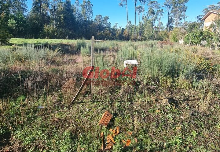 Helårsgrund i Viseu, Viseu, Viseu - € 60.000 | Ref: 189242315 - foto 1