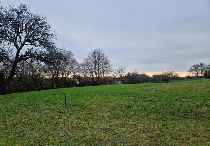 Terra a Champagne, Sarthe, Champagne - € 95.800 | Ref: 51_BMN-0022671 - foto 1