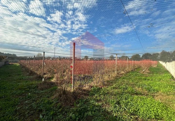 Helårsgrund i Vila Verde, Braga, Vila Verde - € 298.000 | Ref: 08521 - foto 1