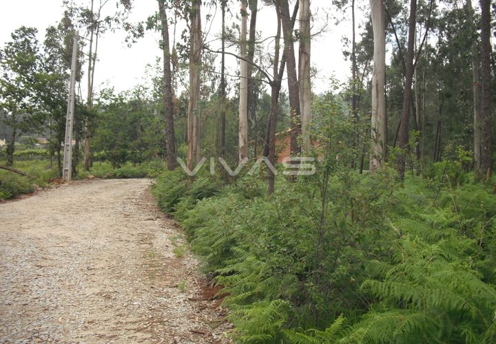 Helårsgrund i Vila Verde, Braga, Vila Verde - € 42.500 | Ref: 037-0830 - foto 1