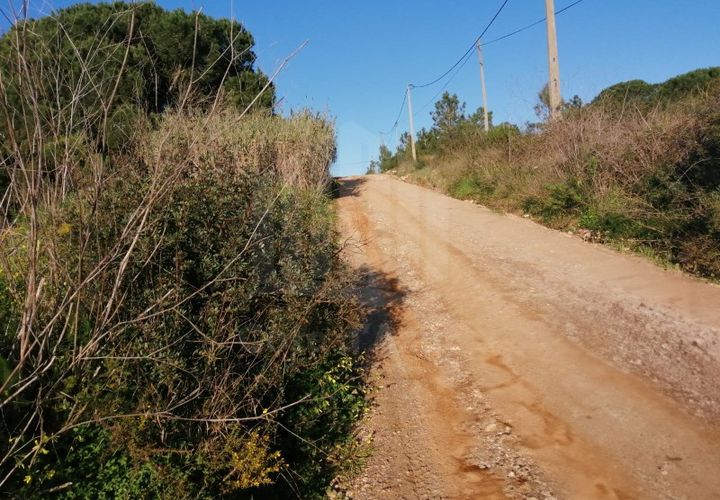 Terra a Quinta do Anjo, Setubal, Quinta do Anjo - € 440.000 | Ref: 9878 - foto 1