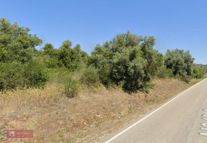 Helårsgrund i Olaia e Paco, Santarem, Olaia e Paco - € 27.300 | Ref: TPH001-375 - foto 1