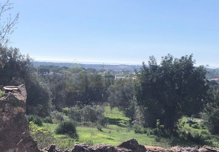 Helårsgrund i Boliqueime, Faro, Boliqueime - € 550.000 | Ref: T21 - foto 1