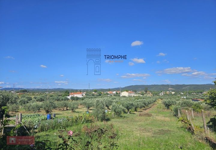 Helårsgrund i Tomar, Santarem, Tomar - € 160.000 | Ref: TPH001-364 - foto 1