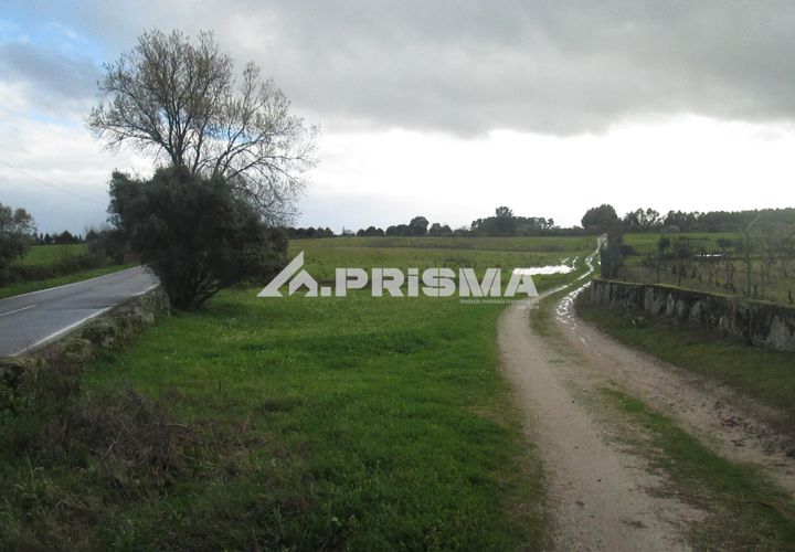 Helårsgrund i Castelo Branco, Castelo Branco, Castelo Branco - € 25.000 | Ref: PP4533 - foto 1