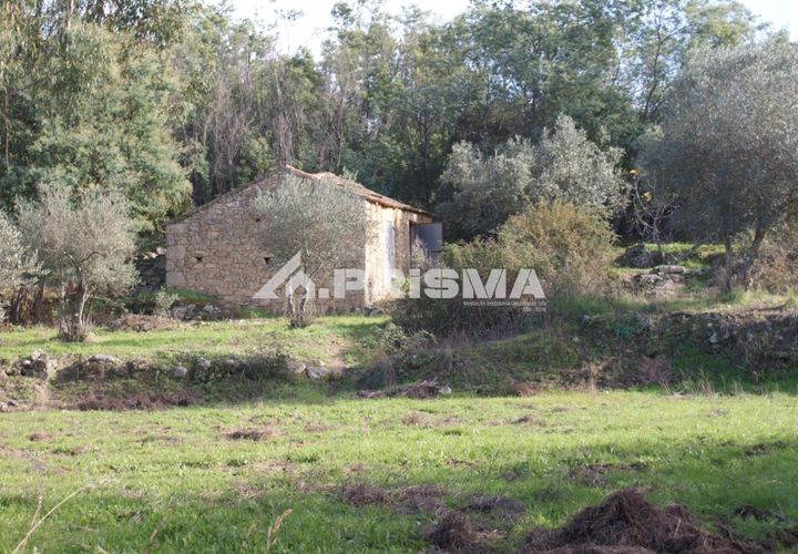 Terra a Penamacor, Castelo Branco, Penamacor - € 35.000 | Ref: PP4491 - foto 1
