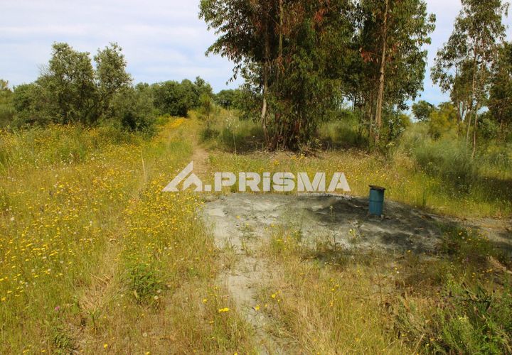 Farm i Castelo Branco, Castelo Branco, Castelo Branco - € 60.000 | Ref: PP4359 - foto 1