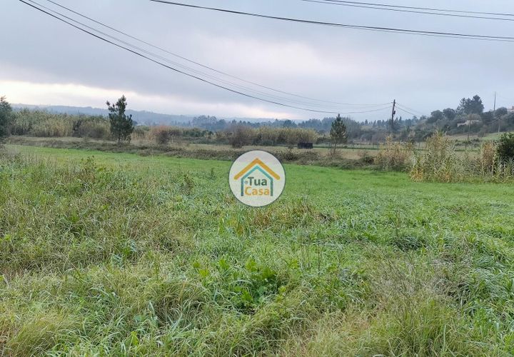 Helårsgrund i Anadia, Aveiro, Anadia - € 97.500 | Ref: 4TC2926 - foto 1