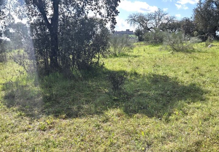 Terra a Alandroal, Evora, Alandroal - € 45.000 | Ref: JG2386 - foto 1