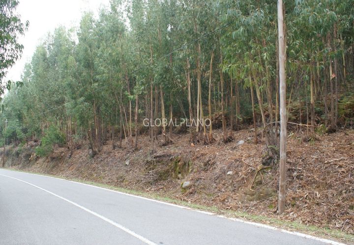 Terra a Marmelete, Faro, Marmelete - € 27.000 | Ref: GP-TER389 - foto 1