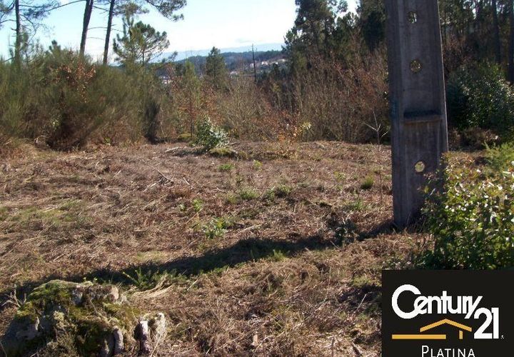 Terra a Abraveses, Viseu, Abraveses - € 19.000 | Ref: C0203-00885 - foto 1