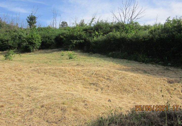 Helårsgrund i Tondela, Viseu, Tondela - € 37.500 | Ref: C0203-01759 - foto 1