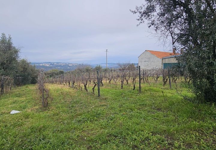 Helårsgrund i Viseu, Viseu, Viseu - € 39.000 | Ref: C0203-02231 - foto 1