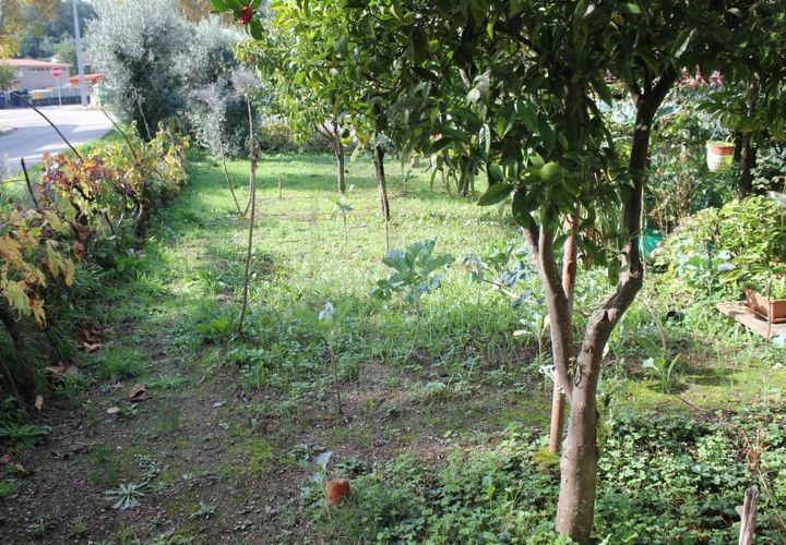 Tomt i Arganil, Coimbra, Arganil - € 34 900 | Ref: TER_4216 - foto 1