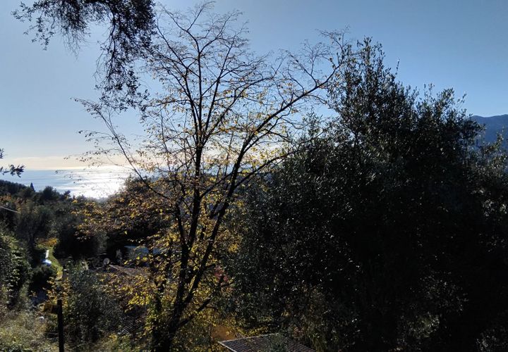 Helårsgrund i Castellar, Alpes-Maritimes, Castellar - € 225.000 | Ref: 85526497 - foto 1