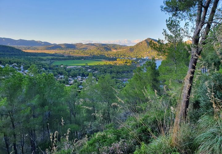 Grond in Capdepera, Mallorca, Capdepera - € 204.000 | Ref: 25704M - foto 1