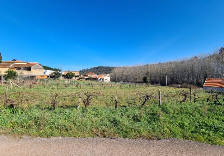 Helårsgrund i Agueda, Aveiro, Agueda - € 24.900 | Ref: TER_637 - foto 1