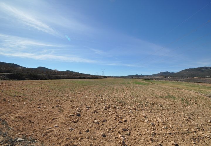 Helårsgrund i Salinas, Alicante, Salinas - € 85.495 | Ref: 66019 - foto 1