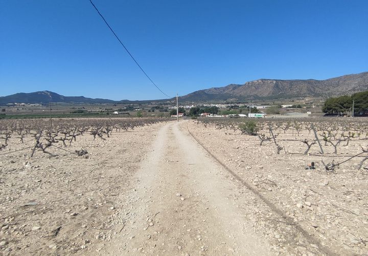 Helårsgrund i Salinas, Alicante, Salinas - € 53.000 | Ref: WG-51480 - foto 1