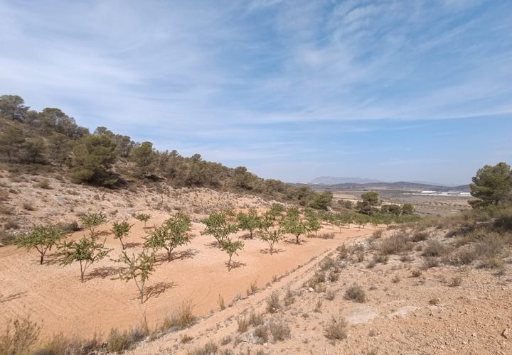 Helårsgrund i Abanilla, Murcia, Abanilla - € 24.310 | Ref: 66008 - foto 1