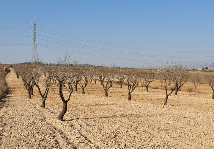 Terra a Jumilla, Murcia, Jumilla - € 17.995 | Ref: 51221 - foto 1