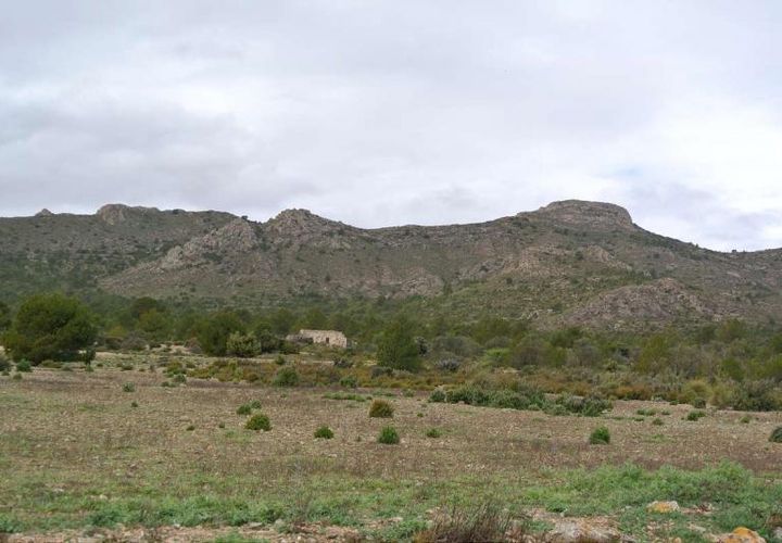 Tomt i Yecla, Murcia, Yecla - € 3 000 000 | Ref: 44015 - foto 1