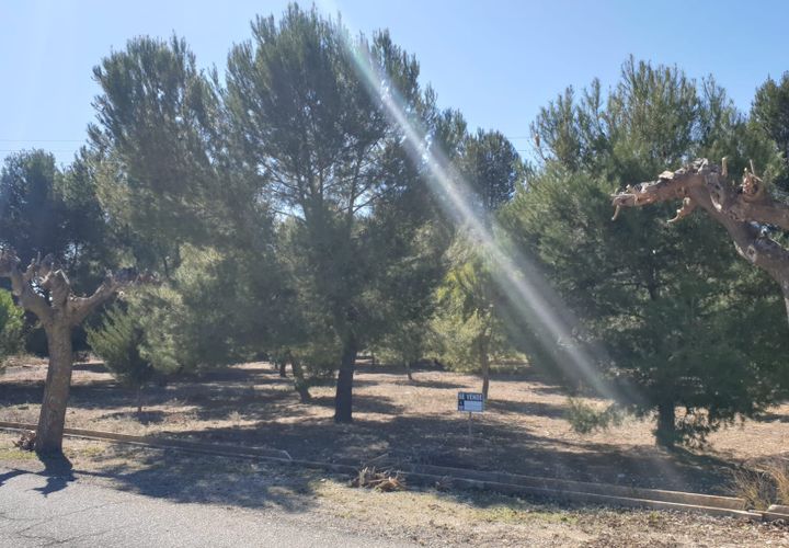 Grond in Beneixama, Alicante, Beneixama - € 131.995 | Ref: 51148 - foto 1