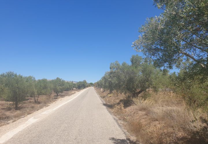 Terra a Biar, Alicante, Biar - € 29.995 | Ref: 11813C2308 - foto 1